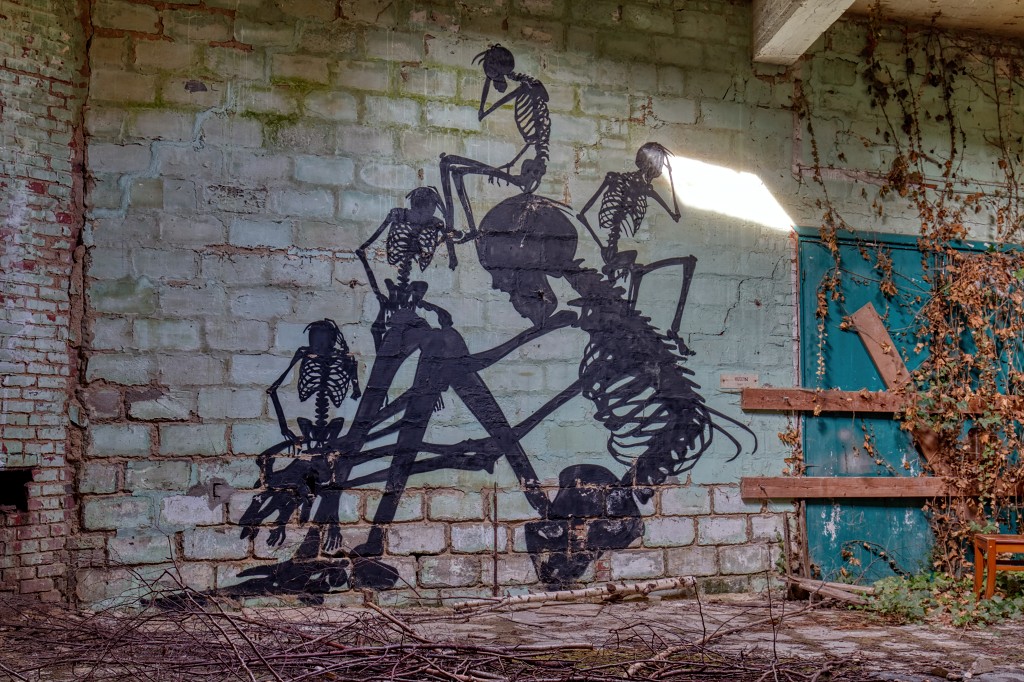 HDR graffiti streetart street-art street art skeleton factory urbex roa klaas van der linden kunst kunstwerk decay verlaten lost place places abandoned
